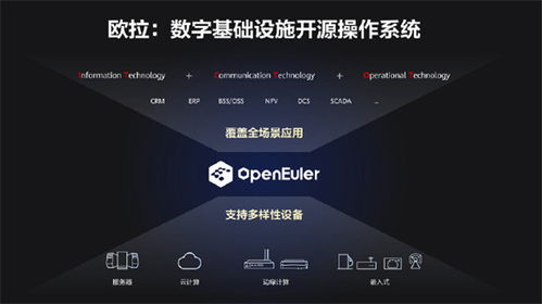 鸿蒙之后，华为捐赠欧拉操作系统 从生态突围到人工智能基础软件的中国答卷
