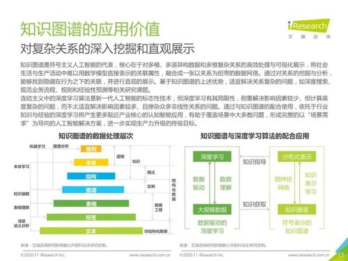 2020年中国面向人工智能新基建的知识图谱行业白皮书 人工智能基础软件开发